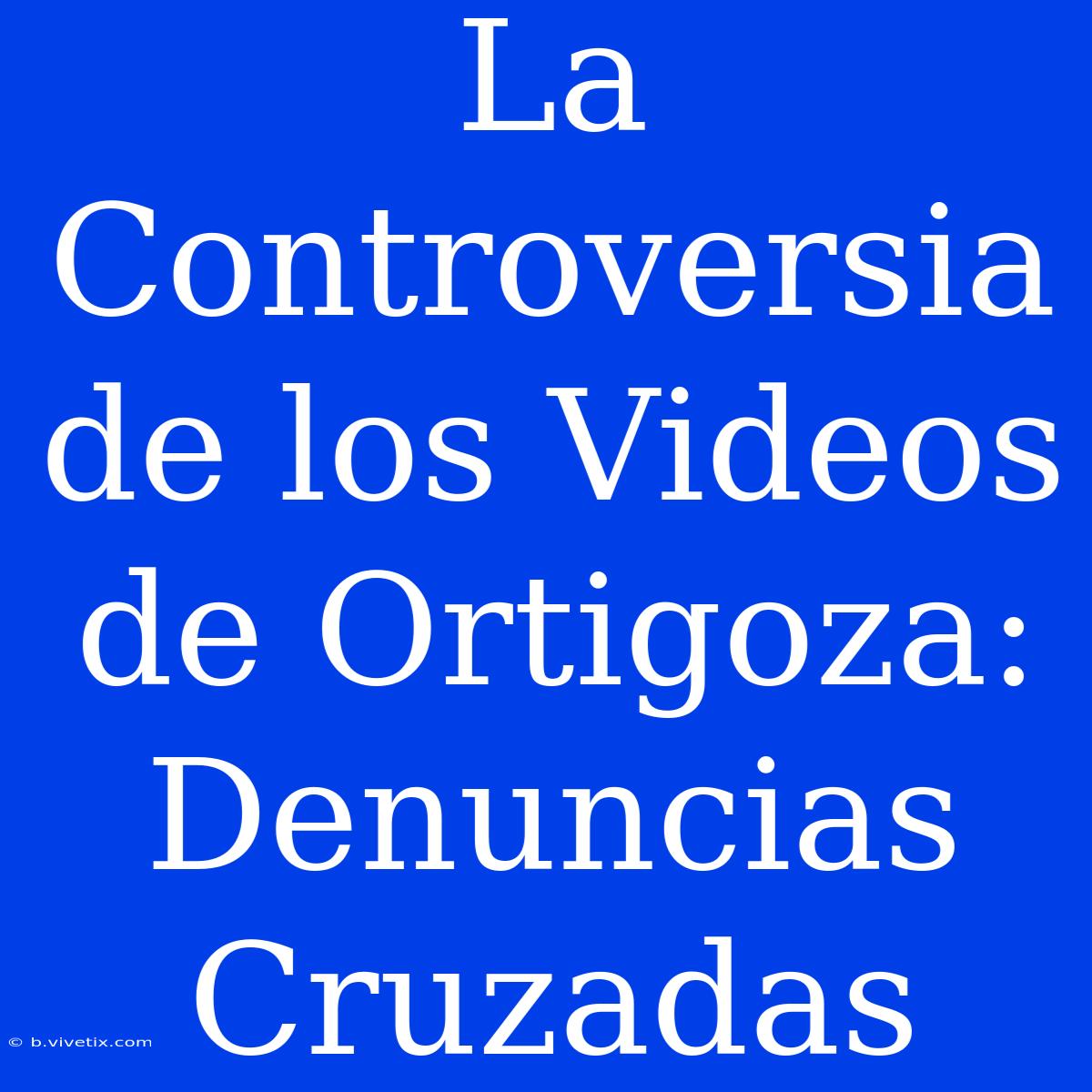 La Controversia De Los Videos De Ortigoza: Denuncias Cruzadas