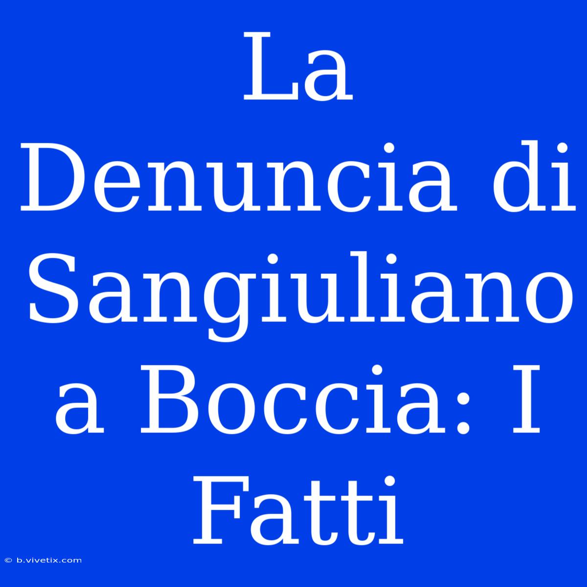 La Denuncia Di Sangiuliano A Boccia: I Fatti