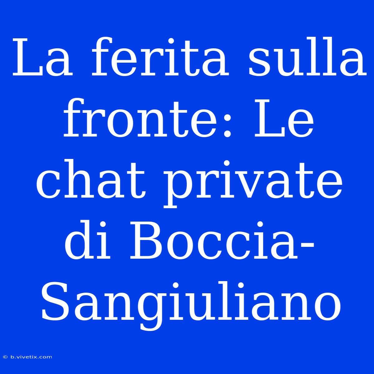 La Ferita Sulla Fronte: Le Chat Private Di Boccia-Sangiuliano