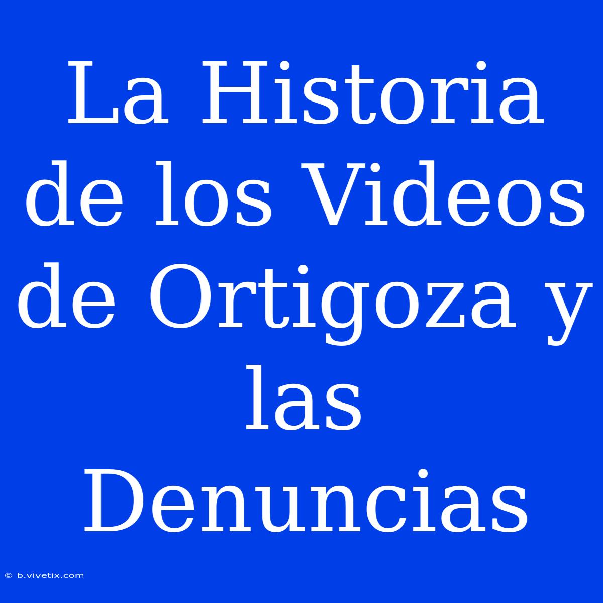 La Historia De Los Videos De Ortigoza Y Las Denuncias