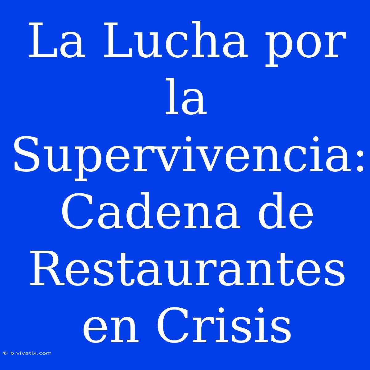 La Lucha Por La Supervivencia: Cadena De Restaurantes En Crisis