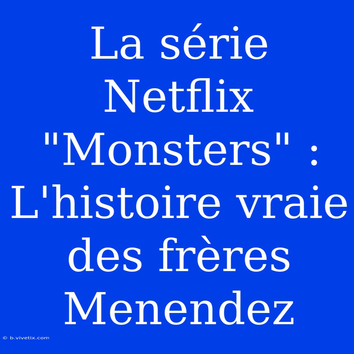 La Série Netflix 