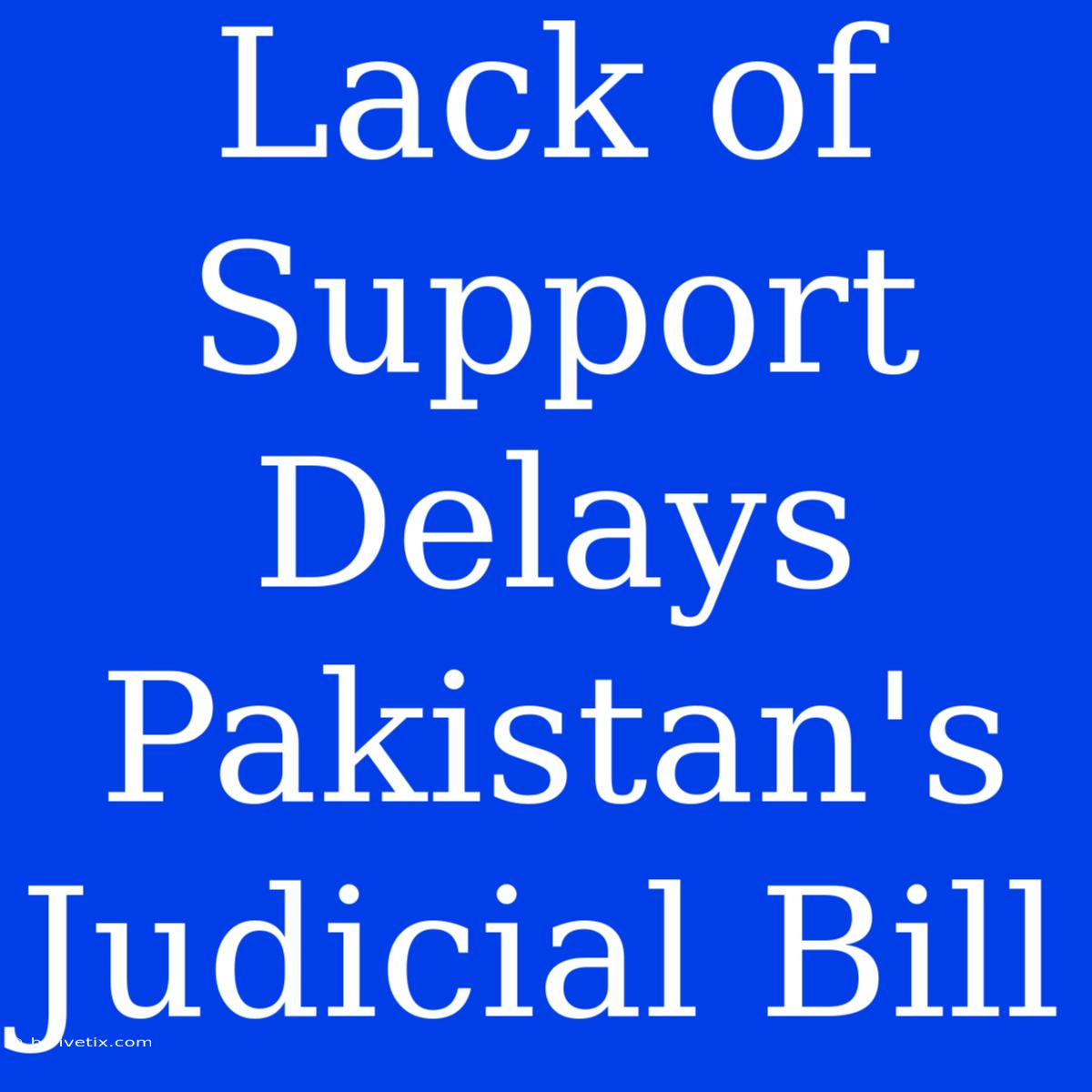 Lack Of Support Delays Pakistan's Judicial Bill