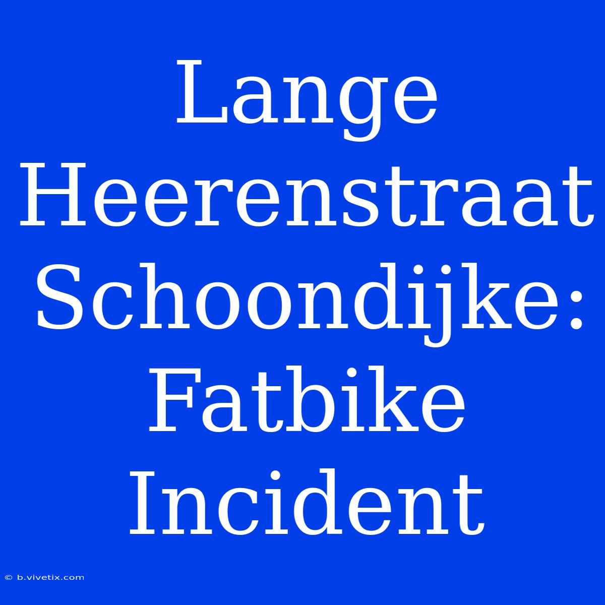 Lange Heerenstraat Schoondijke: Fatbike Incident