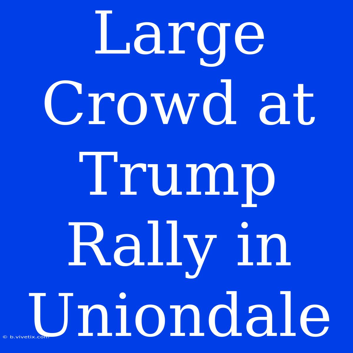 Large Crowd At Trump Rally In Uniondale