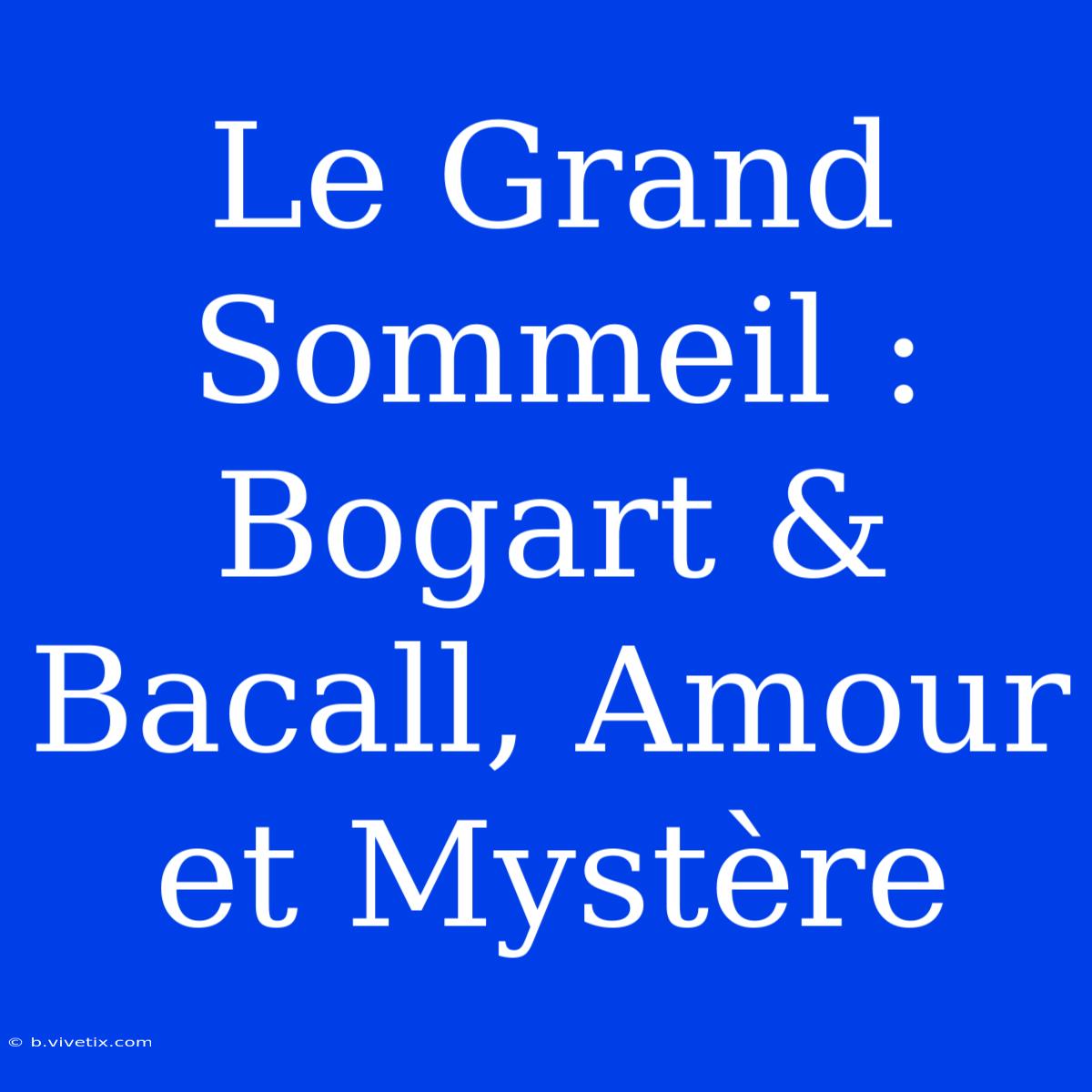 Le Grand Sommeil : Bogart & Bacall, Amour Et Mystère