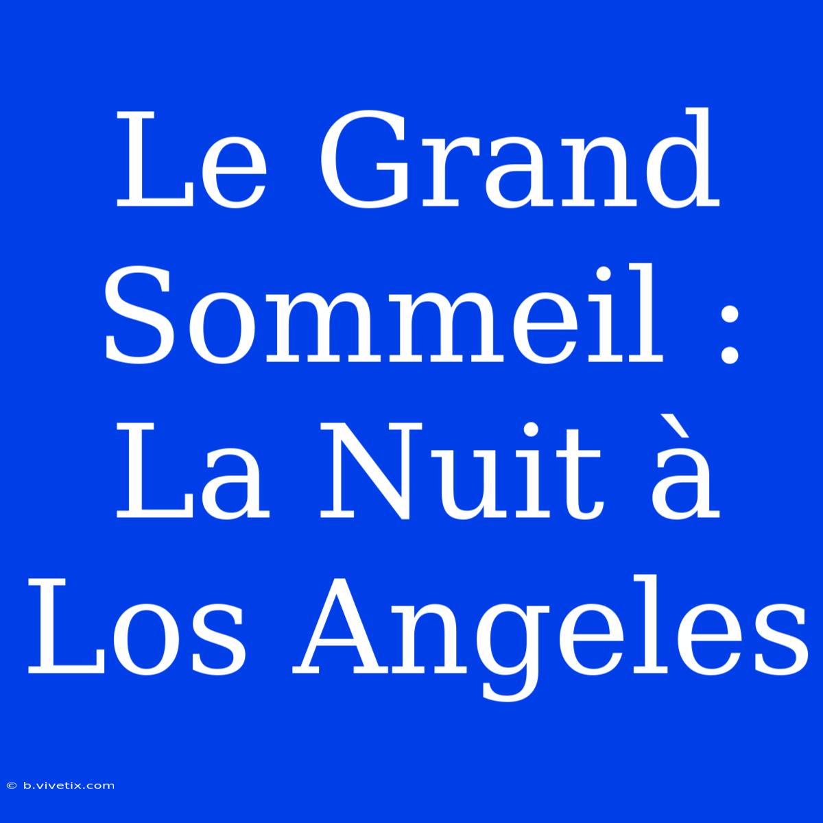 Le Grand Sommeil : La Nuit À Los Angeles