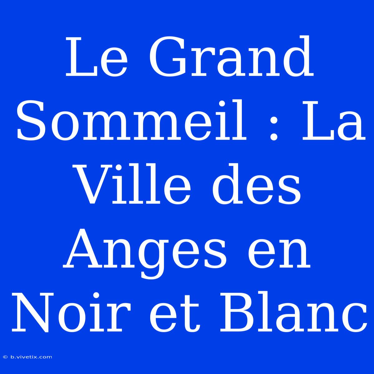 Le Grand Sommeil : La Ville Des Anges En Noir Et Blanc