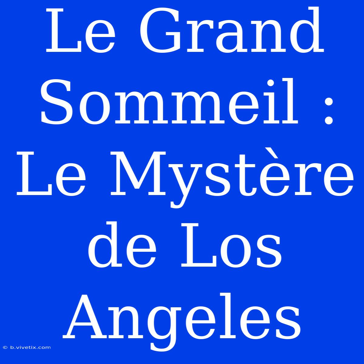 Le Grand Sommeil : Le Mystère De Los Angeles