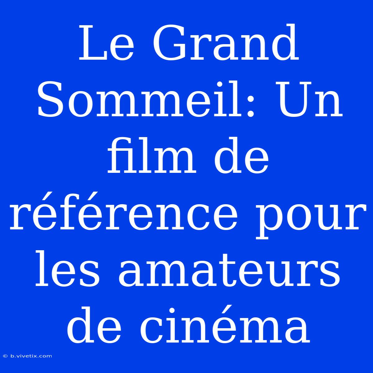 Le Grand Sommeil: Un Film De Référence Pour Les Amateurs De Cinéma