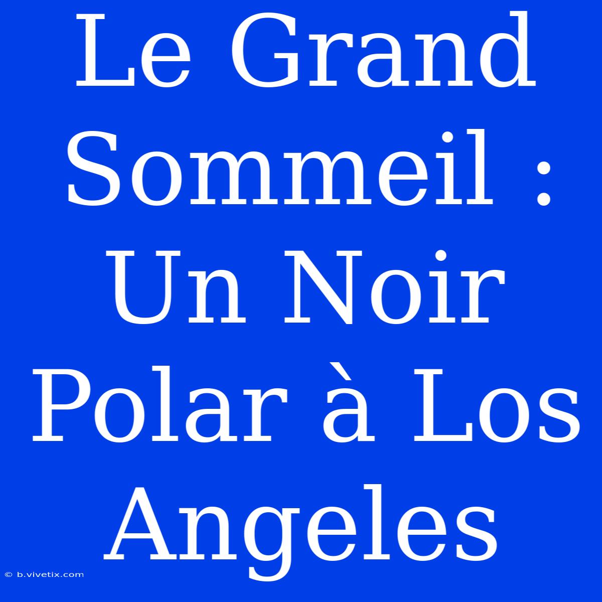 Le Grand Sommeil : Un Noir Polar À Los Angeles