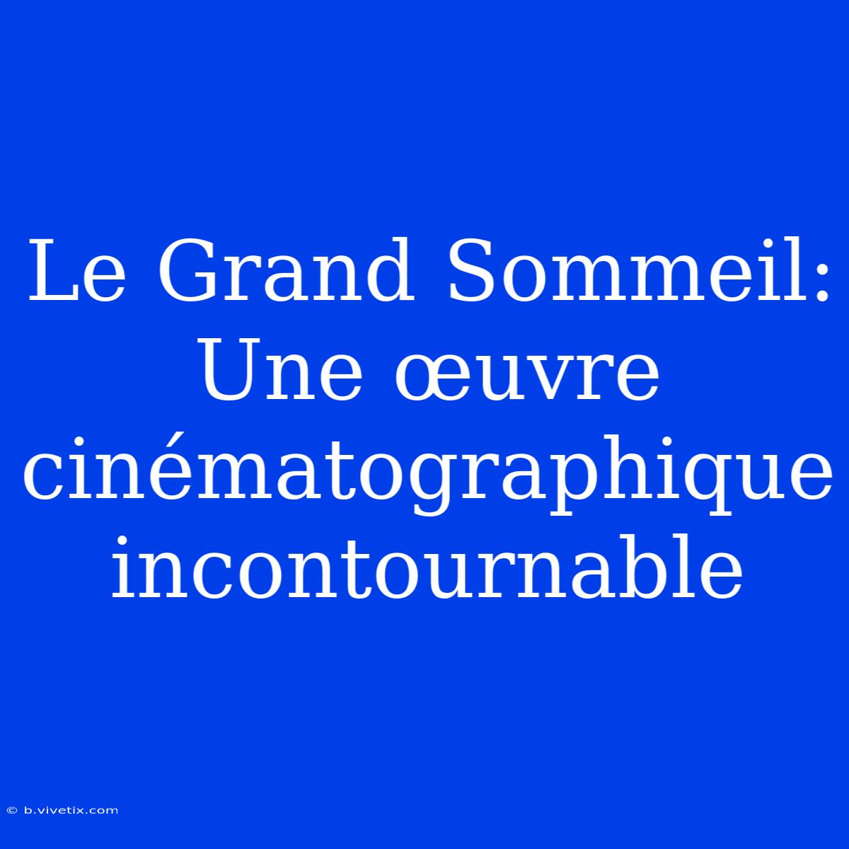 Le Grand Sommeil: Une Œuvre Cinématographique Incontournable 