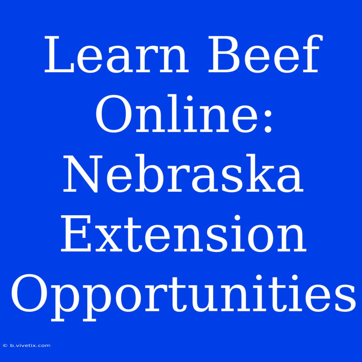 Learn Beef Online: Nebraska Extension Opportunities