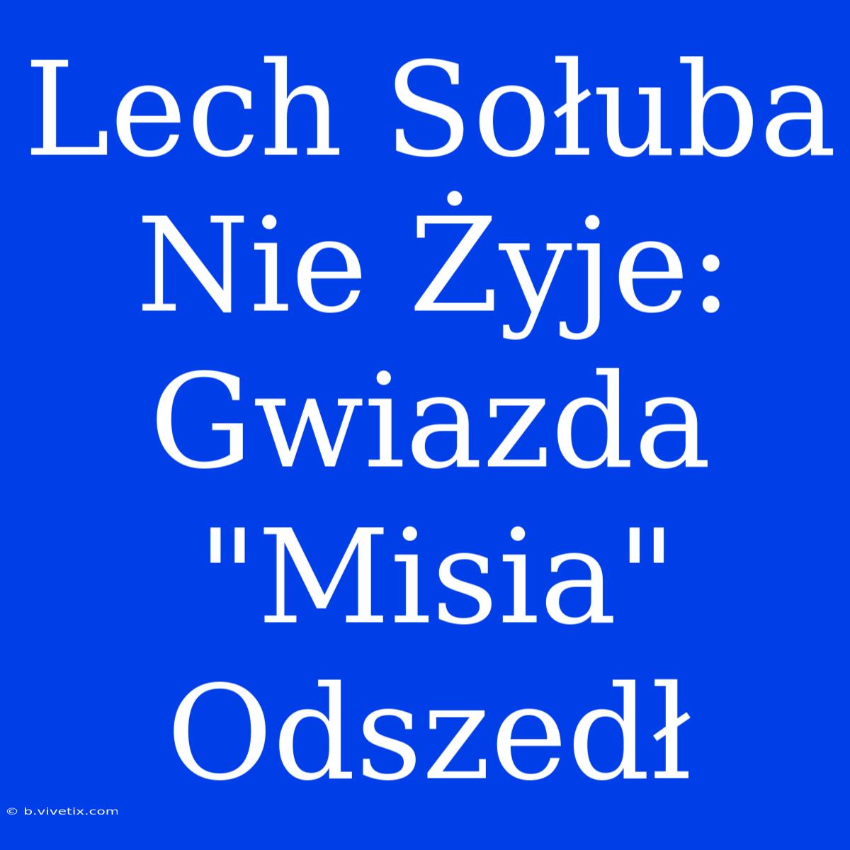 Lech Sołuba Nie Żyje: Gwiazda 