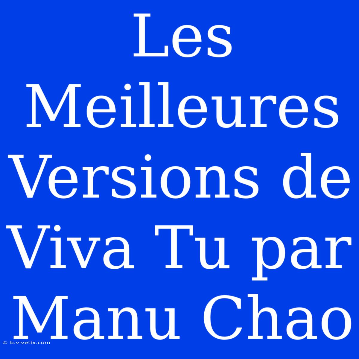 Les Meilleures Versions De Viva Tu Par Manu Chao