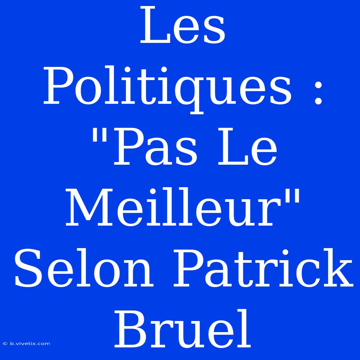 Les Politiques : 