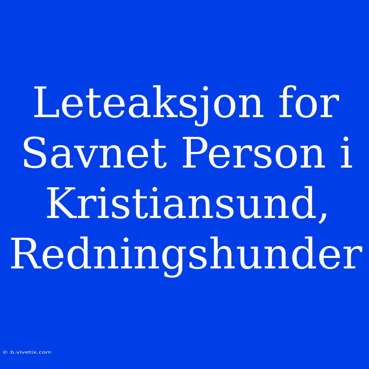 Leteaksjon For Savnet Person I Kristiansund, Redningshunder