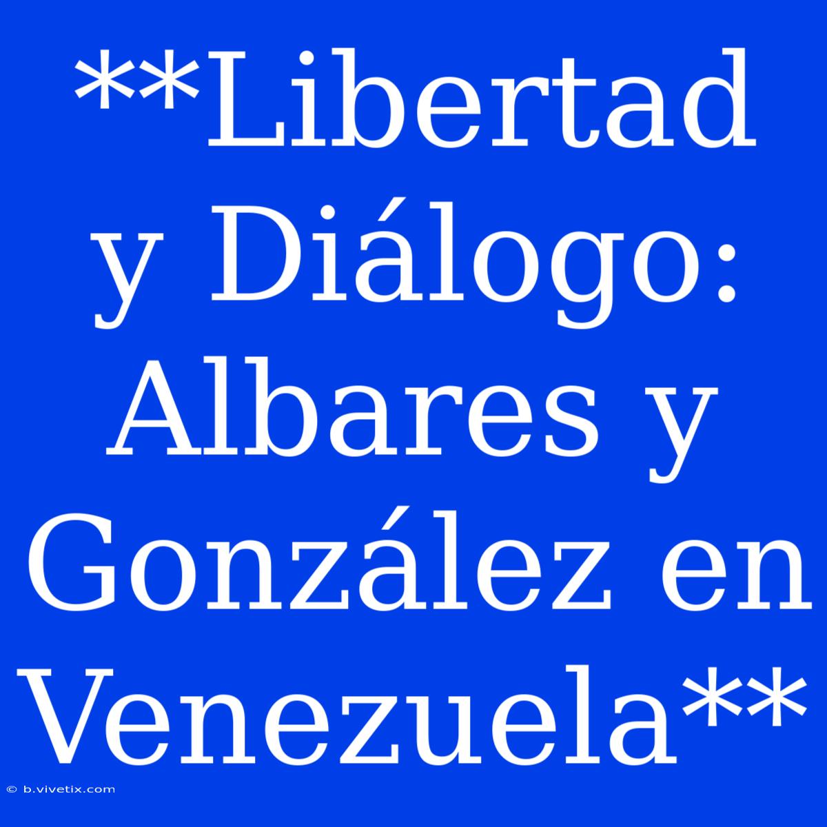 **Libertad Y Diálogo: Albares Y González En Venezuela**