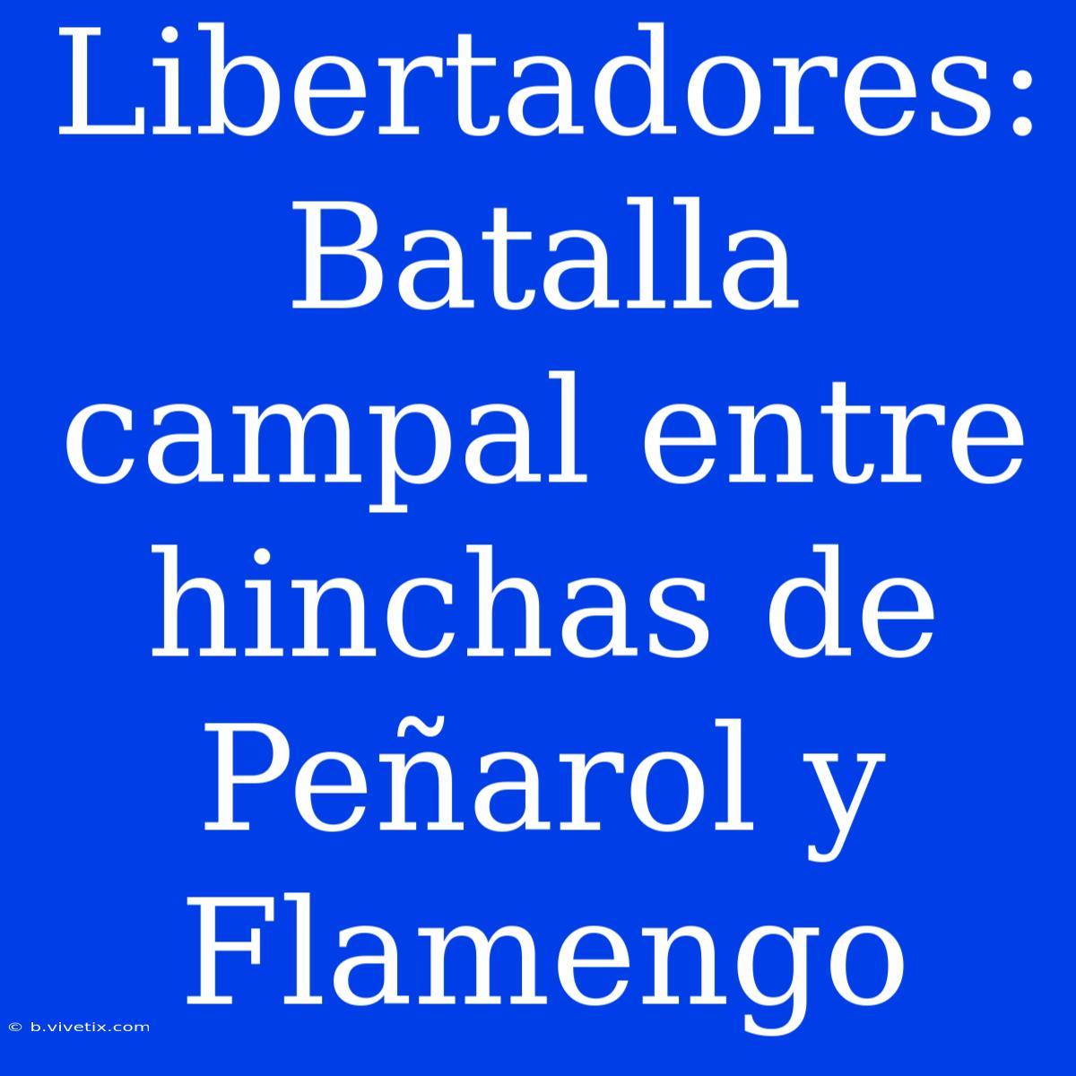 Libertadores: Batalla Campal Entre Hinchas De Peñarol Y Flamengo