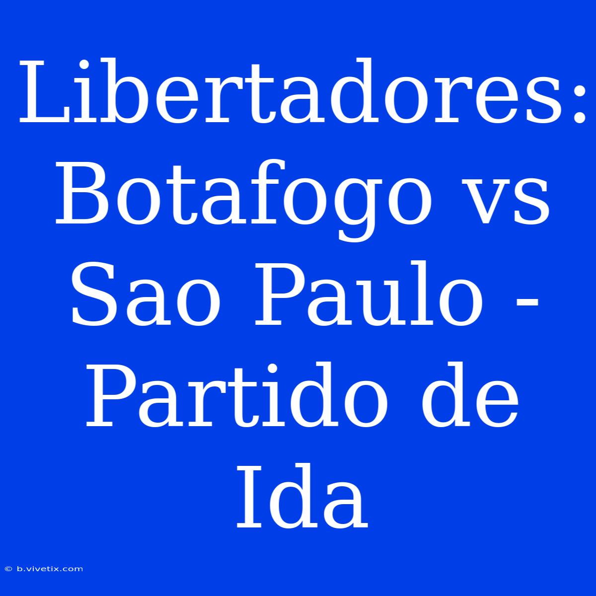 Libertadores: Botafogo Vs Sao Paulo - Partido De Ida