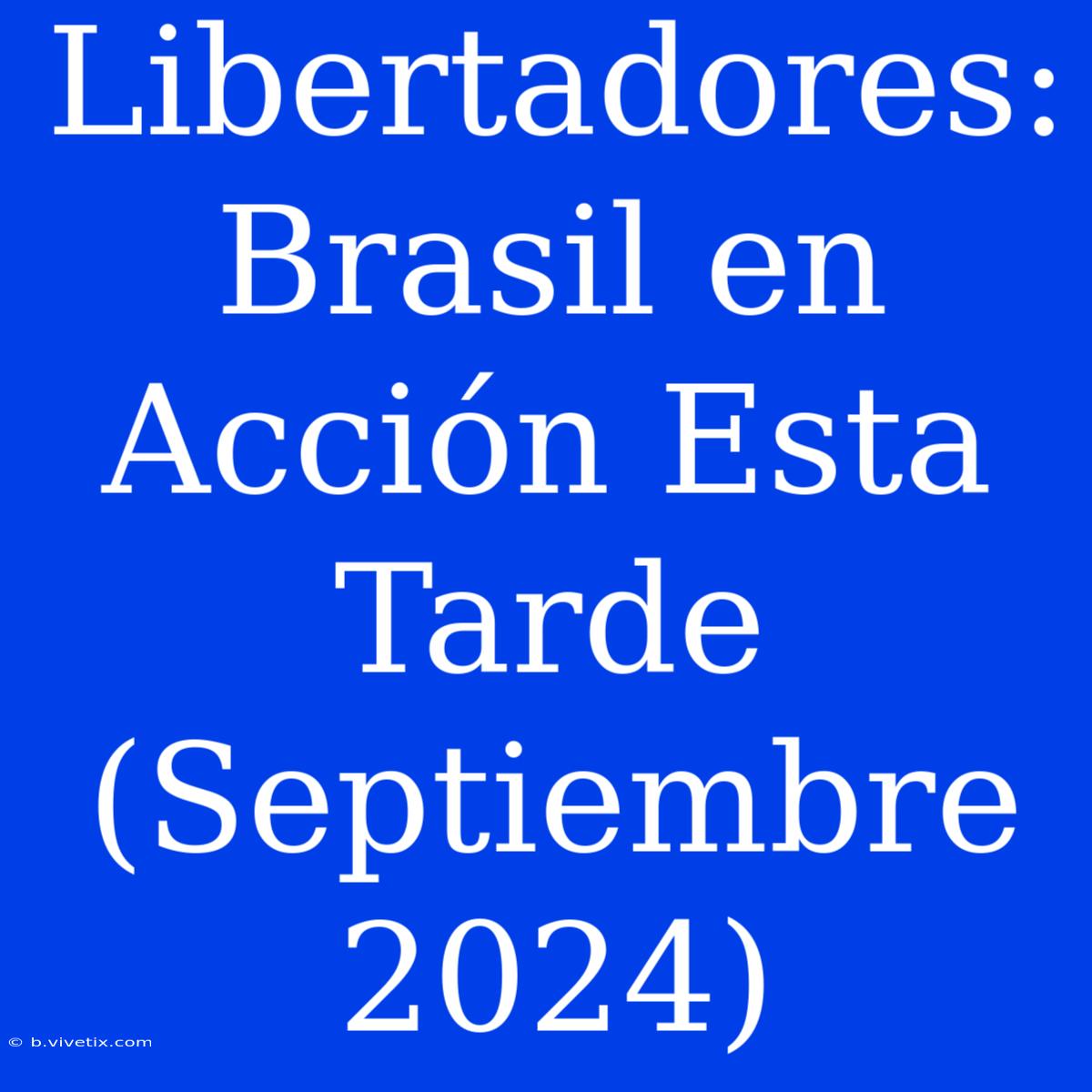 Libertadores: Brasil En Acción Esta Tarde (Septiembre 2024)