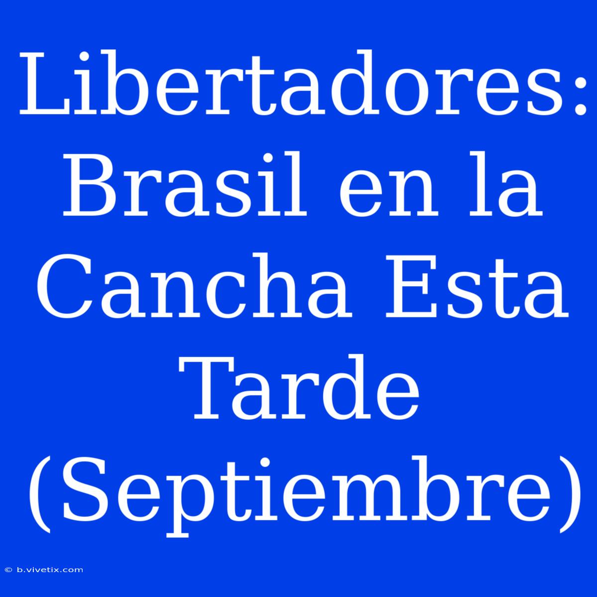 Libertadores: Brasil En La Cancha Esta Tarde (Septiembre)