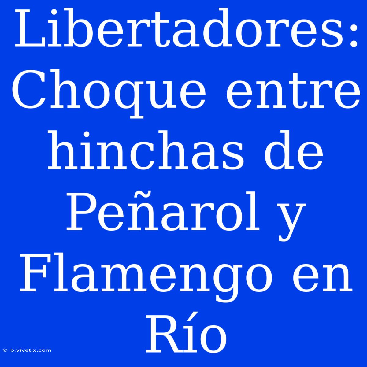 Libertadores: Choque Entre Hinchas De Peñarol Y Flamengo En Río