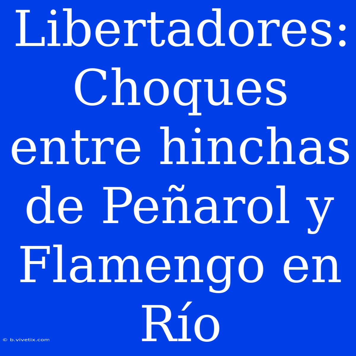 Libertadores: Choques Entre Hinchas De Peñarol Y Flamengo En Río