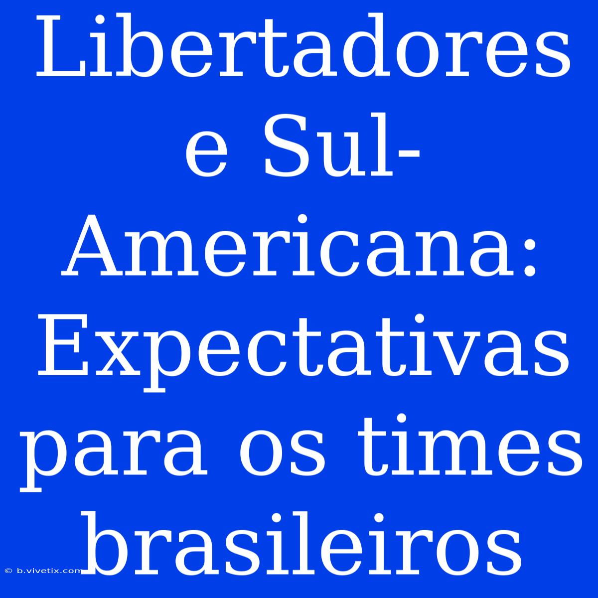 Libertadores E Sul-Americana:  Expectativas Para Os Times Brasileiros