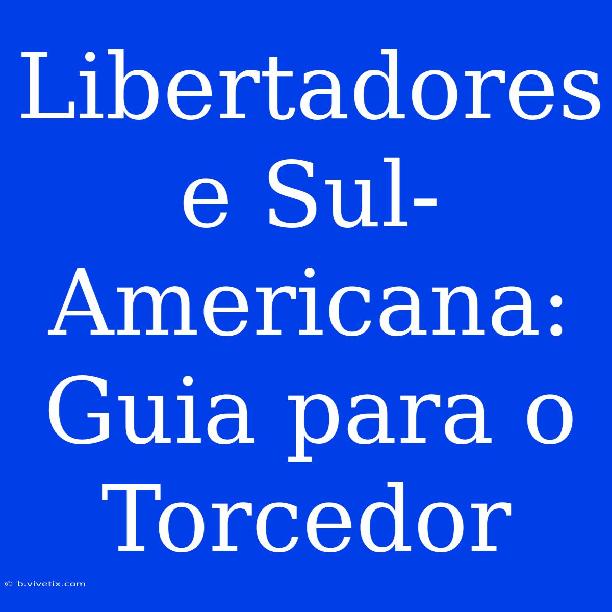 Libertadores E Sul-Americana: Guia Para O Torcedor