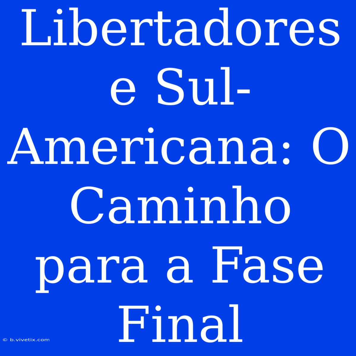 Libertadores E Sul-Americana: O Caminho Para A Fase Final