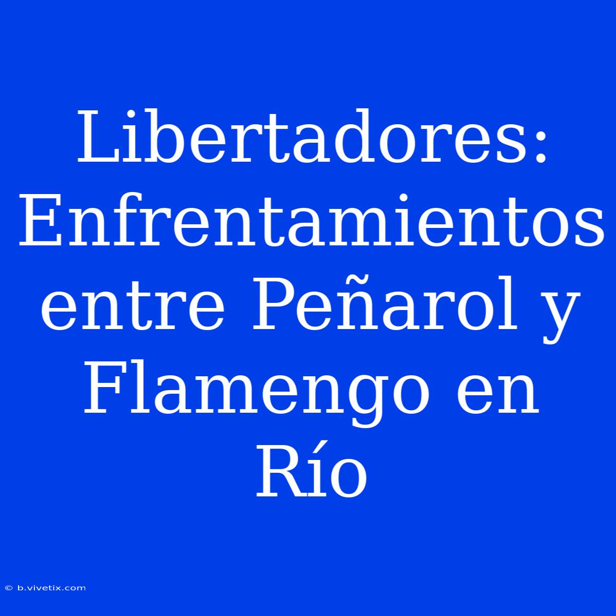 Libertadores: Enfrentamientos Entre Peñarol Y Flamengo En Río