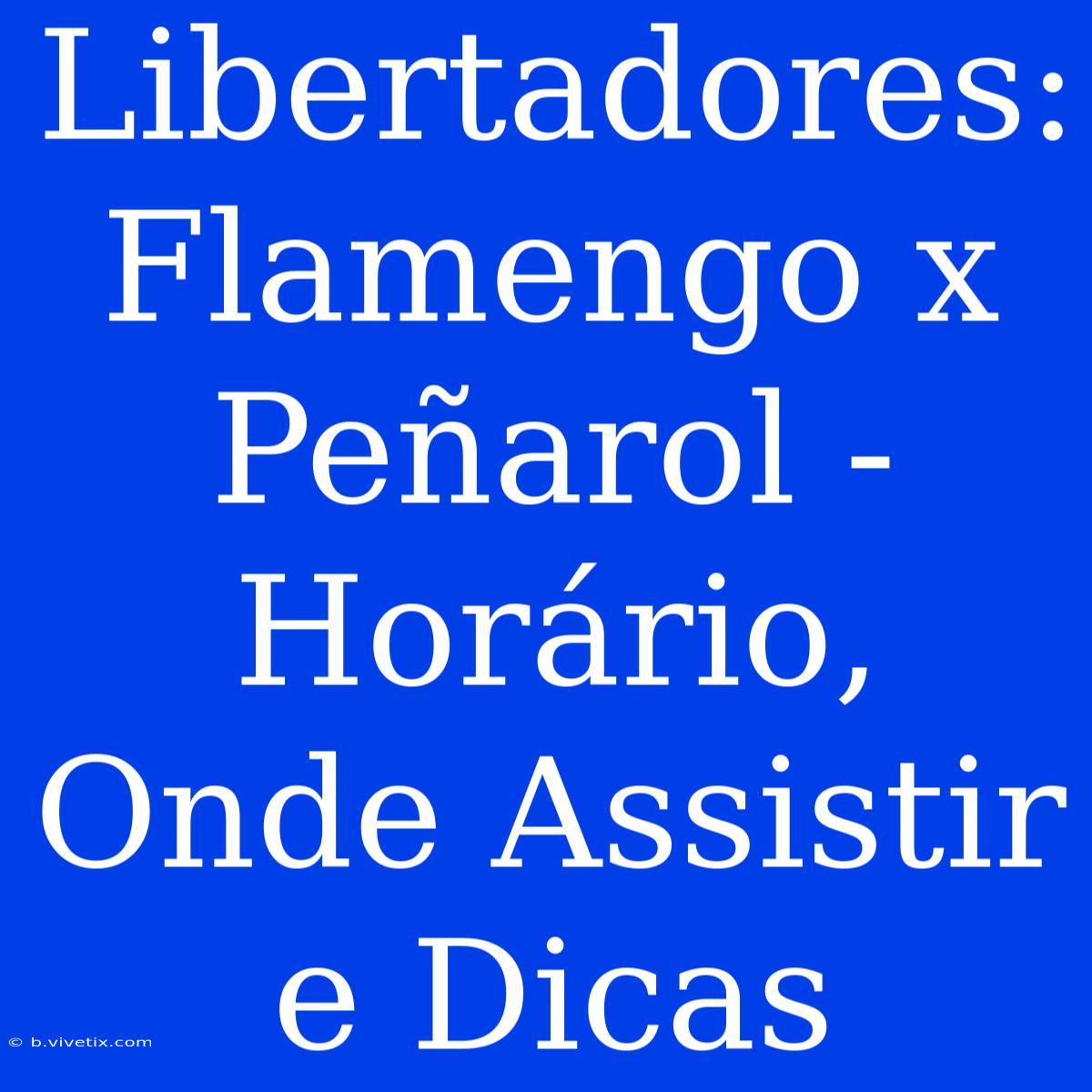 Libertadores: Flamengo X Peñarol - Horário, Onde Assistir E Dicas