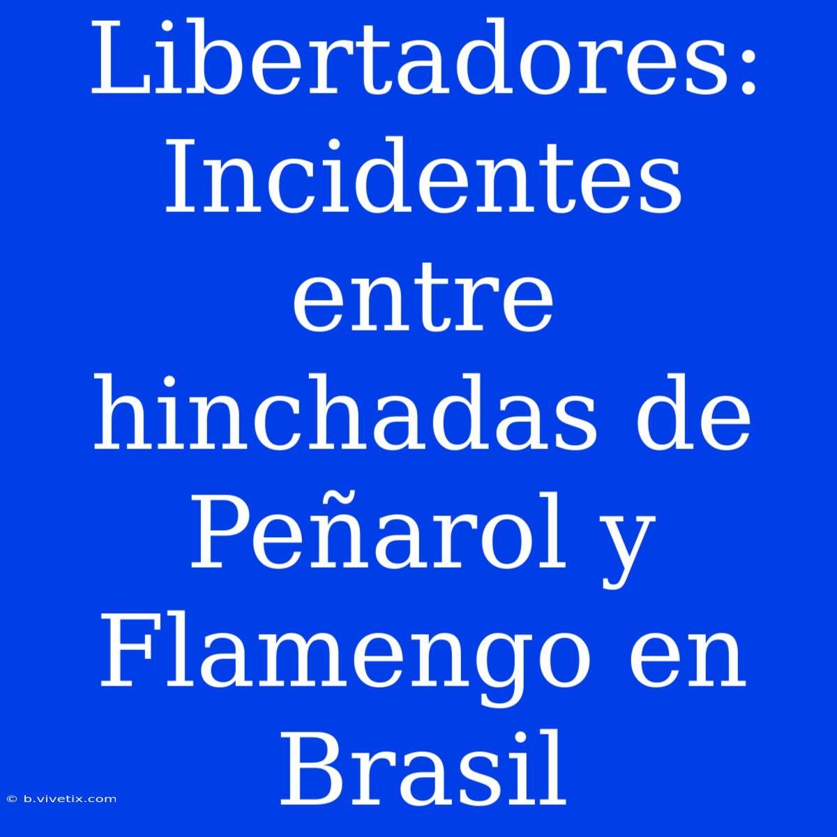 Libertadores: Incidentes Entre Hinchadas De Peñarol Y Flamengo En Brasil