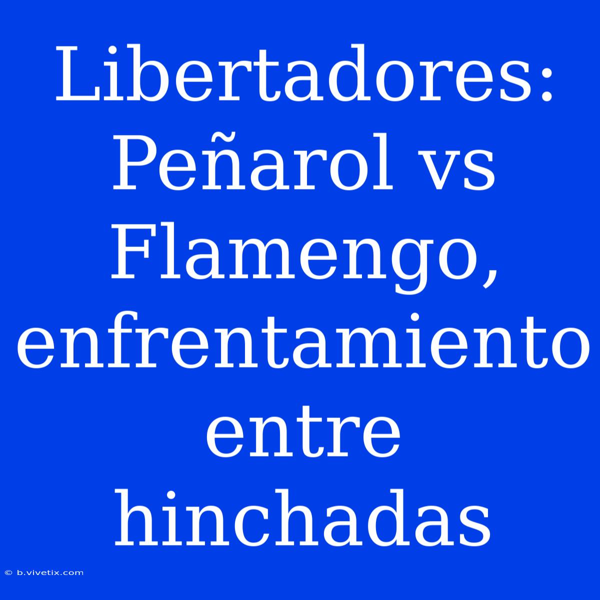 Libertadores: Peñarol Vs Flamengo, Enfrentamiento Entre Hinchadas