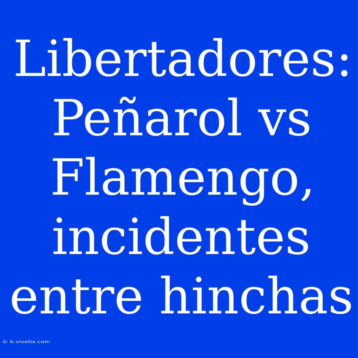 Libertadores: Peñarol Vs Flamengo, Incidentes Entre Hinchas