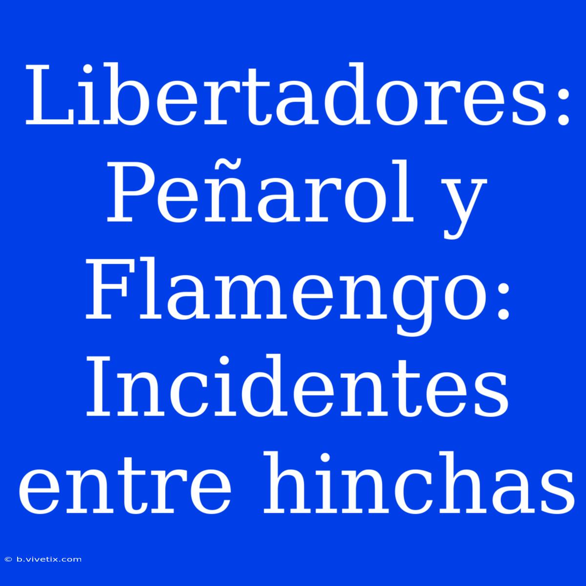 Libertadores: Peñarol Y Flamengo: Incidentes Entre Hinchas