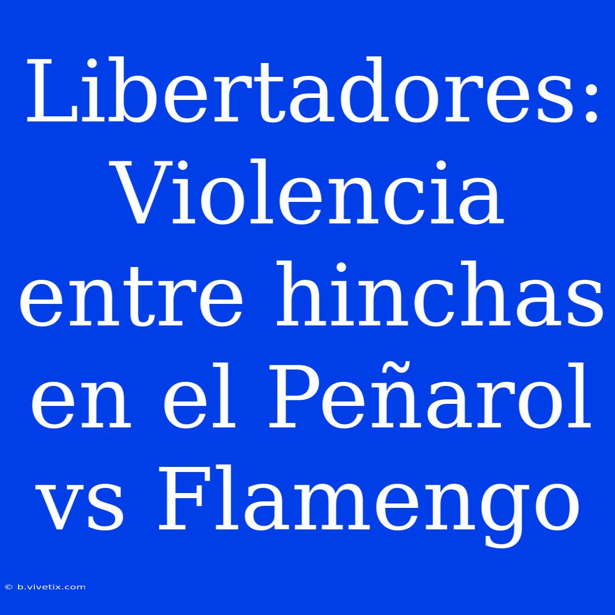 Libertadores: Violencia Entre Hinchas En El Peñarol Vs Flamengo