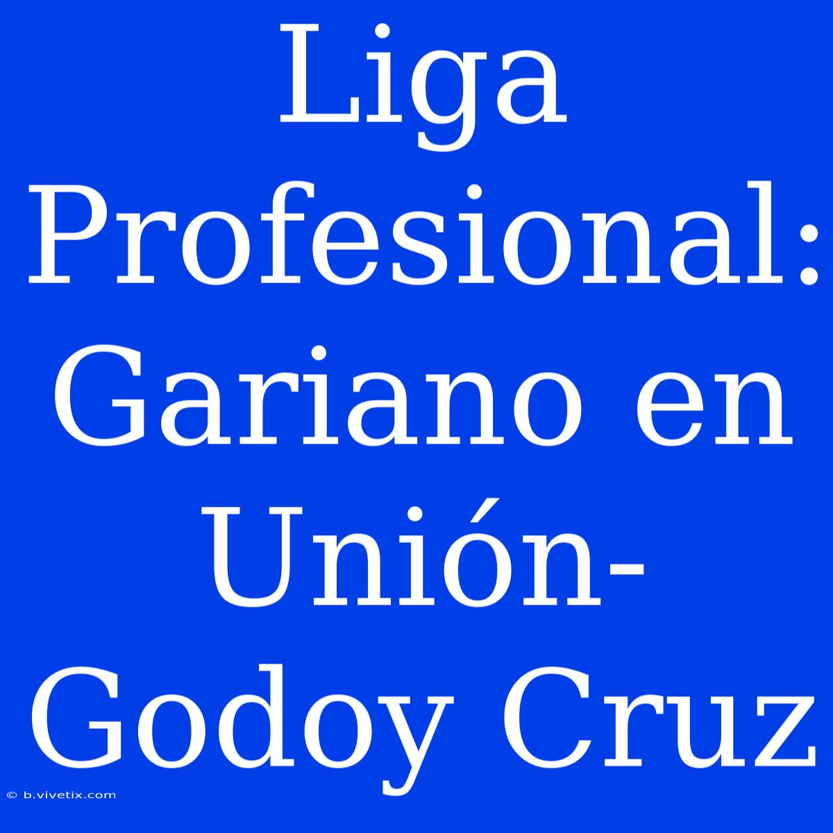 Liga Profesional: Gariano En Unión-Godoy Cruz