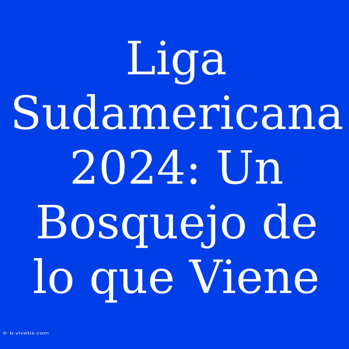 Liga Sudamericana 2024: Un Bosquejo De Lo Que Viene