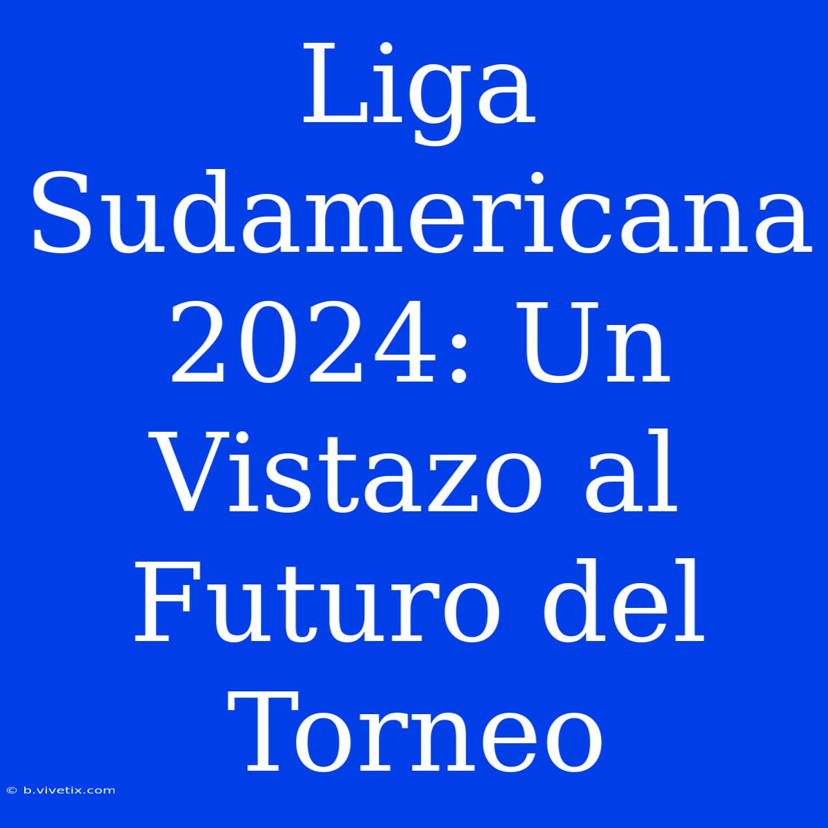 Liga Sudamericana 2024: Un Vistazo Al Futuro Del Torneo