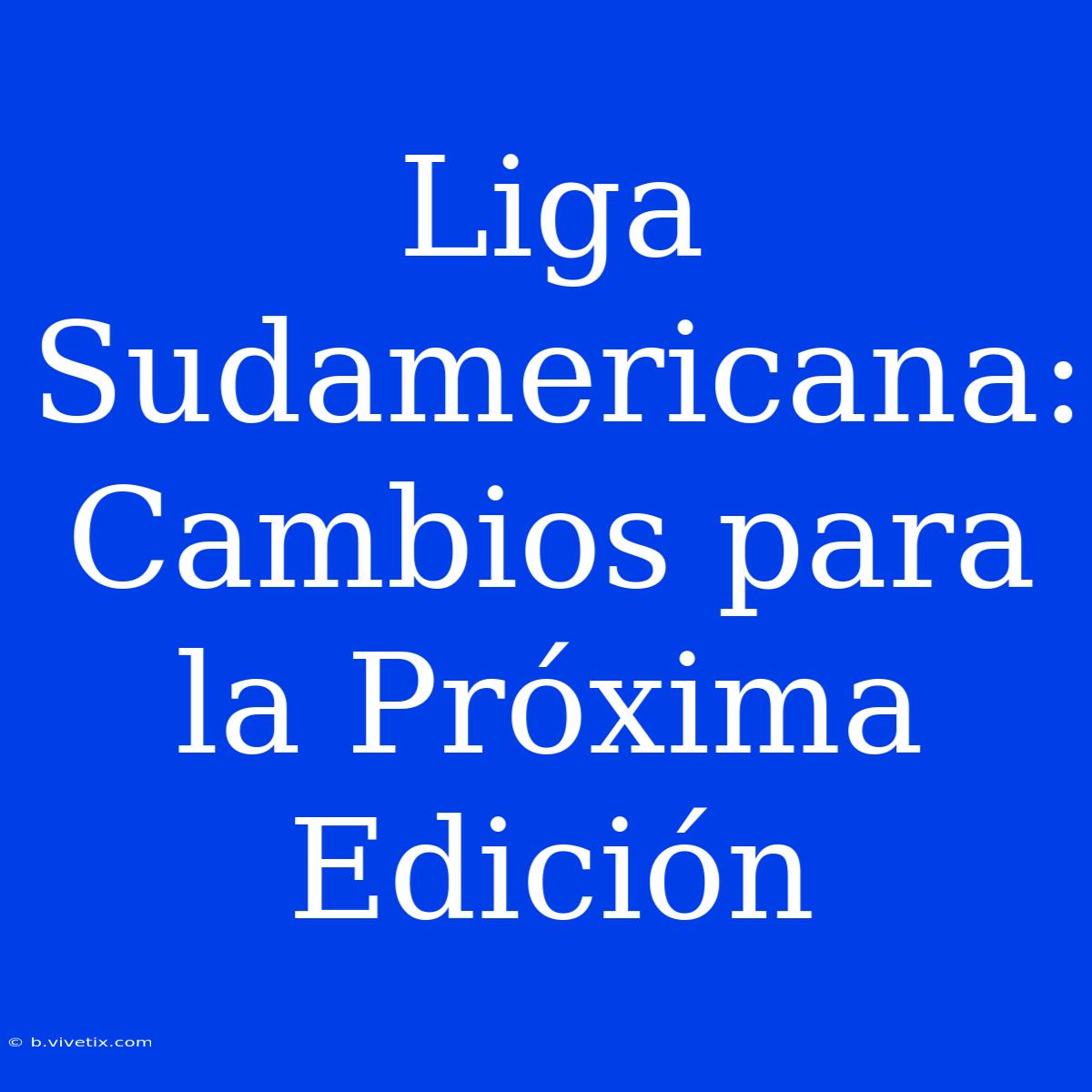 Liga Sudamericana: Cambios Para La Próxima Edición