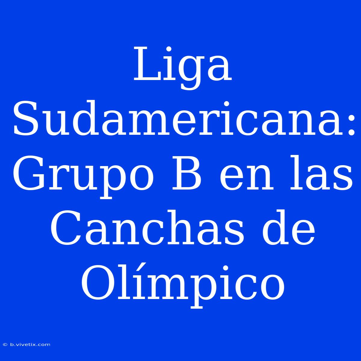 Liga Sudamericana: Grupo B En Las Canchas De Olímpico