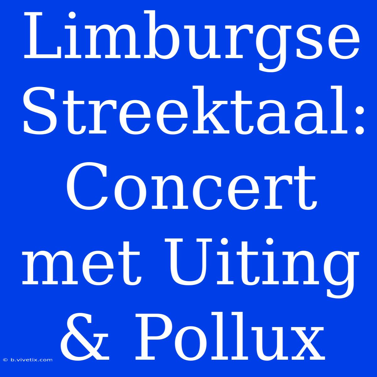 Limburgse Streektaal: Concert Met Uiting & Pollux