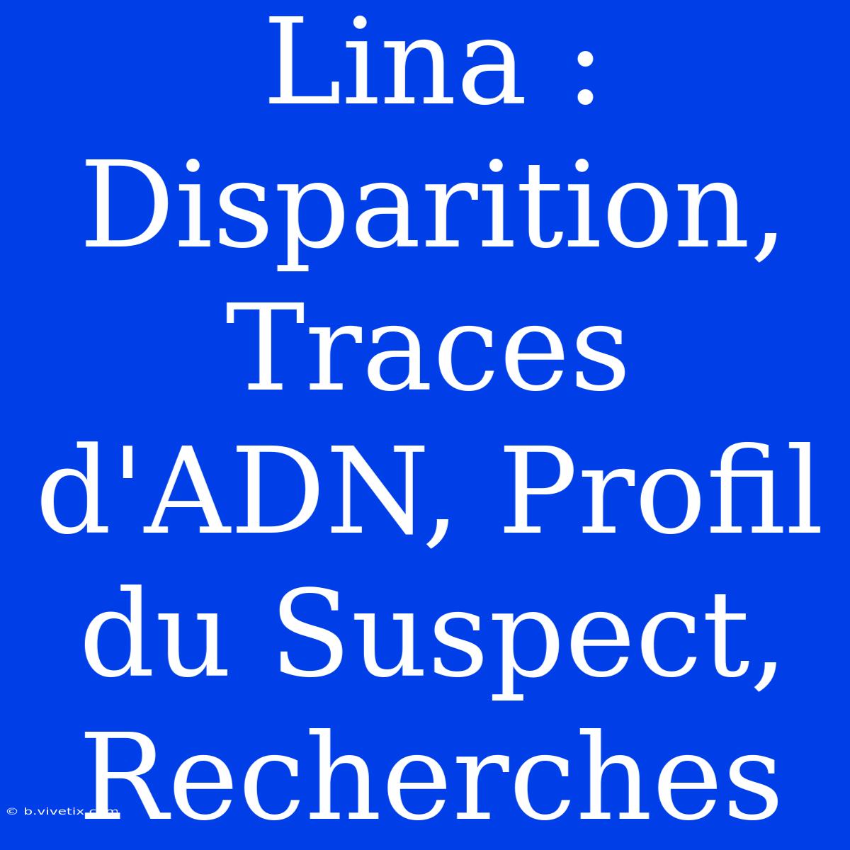 Lina : Disparition, Traces D'ADN, Profil Du Suspect, Recherches 