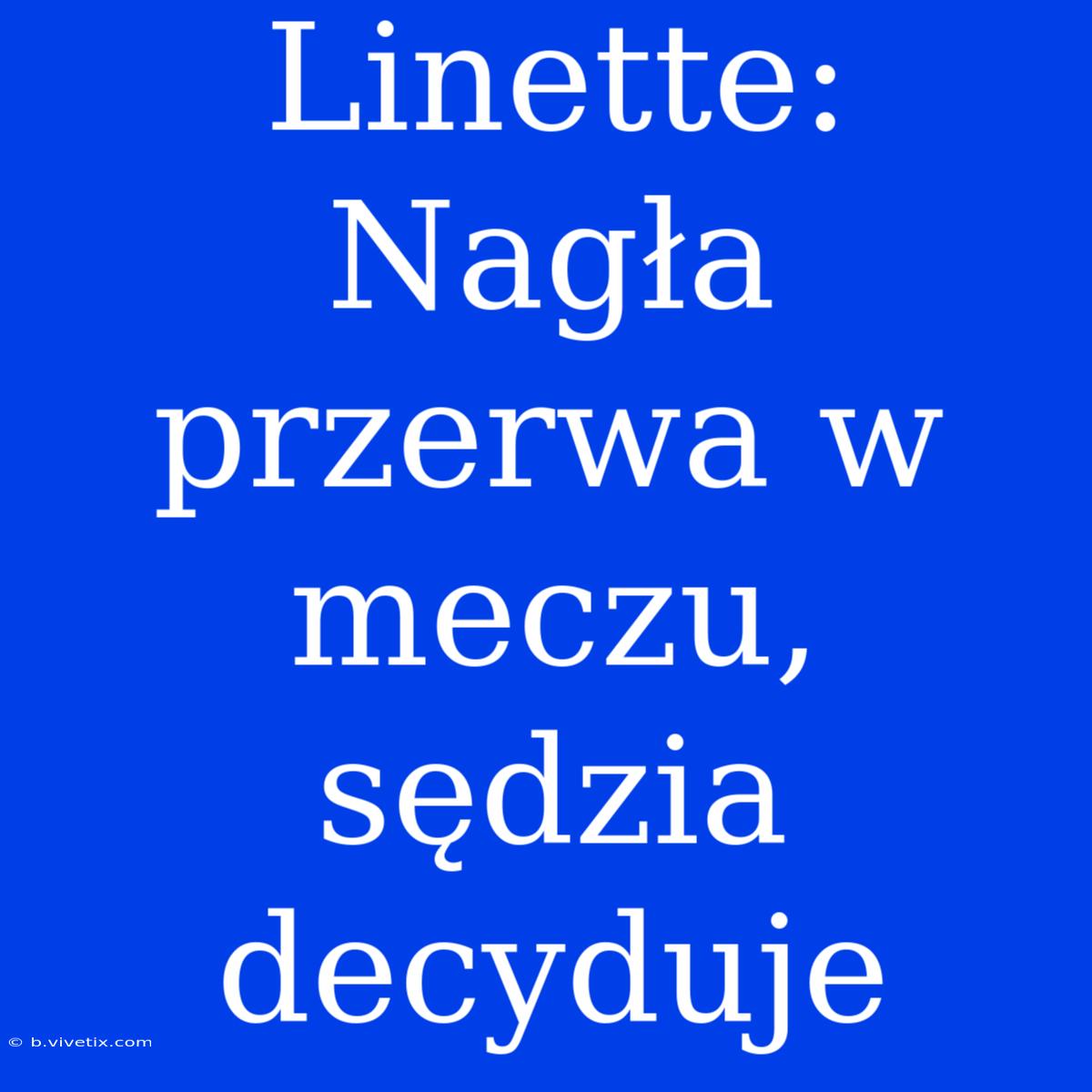 Linette: Nagła Przerwa W Meczu, Sędzia Decyduje