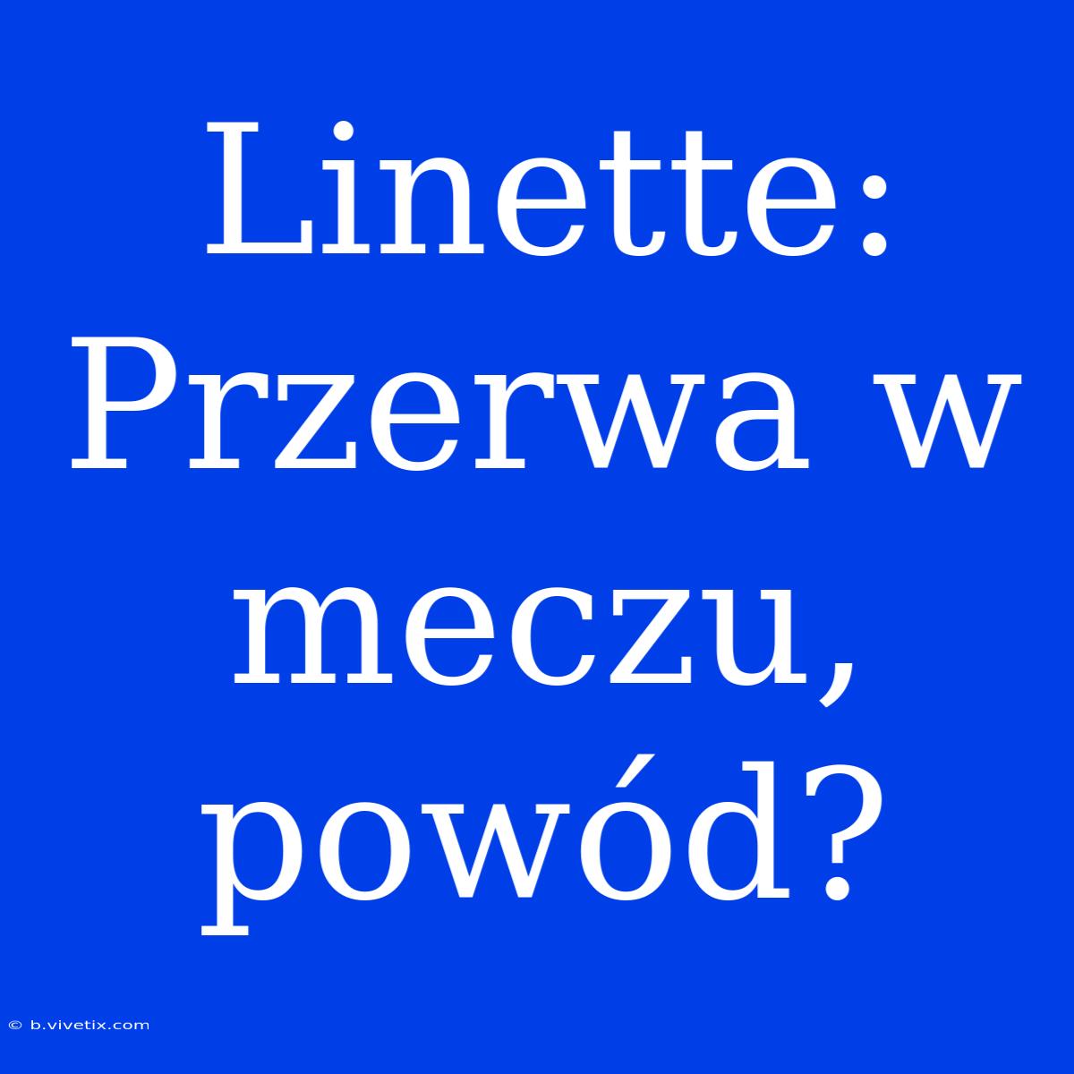 Linette: Przerwa W Meczu, Powód? 