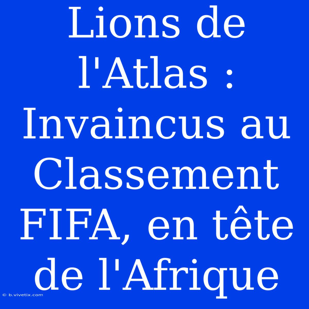 Lions De L'Atlas : Invaincus Au Classement FIFA, En Tête De L'Afrique