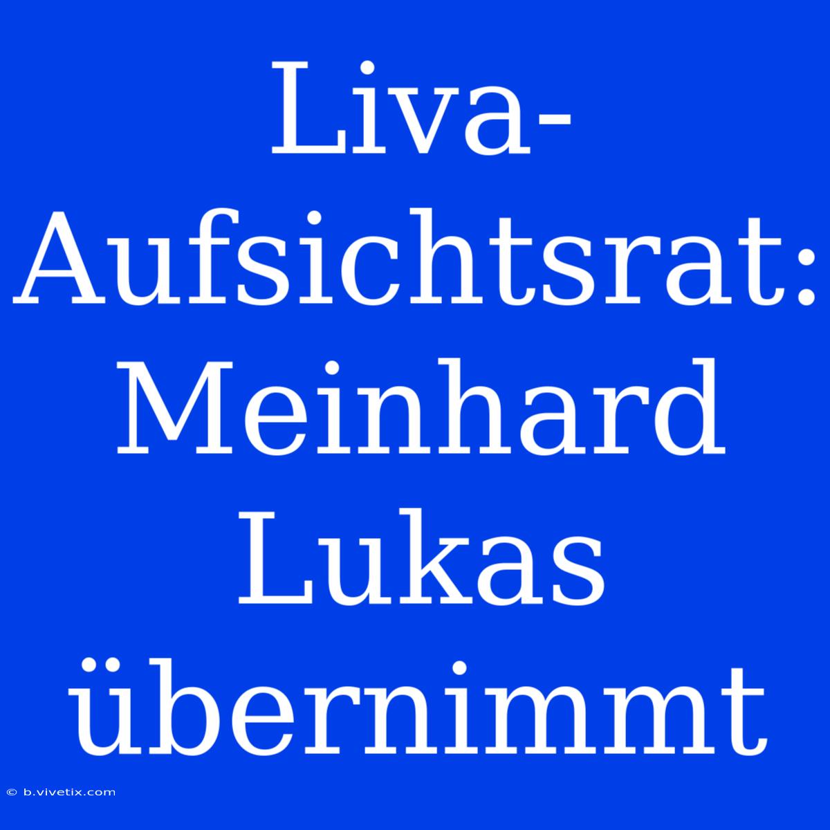 Liva-Aufsichtsrat: Meinhard Lukas Übernimmt