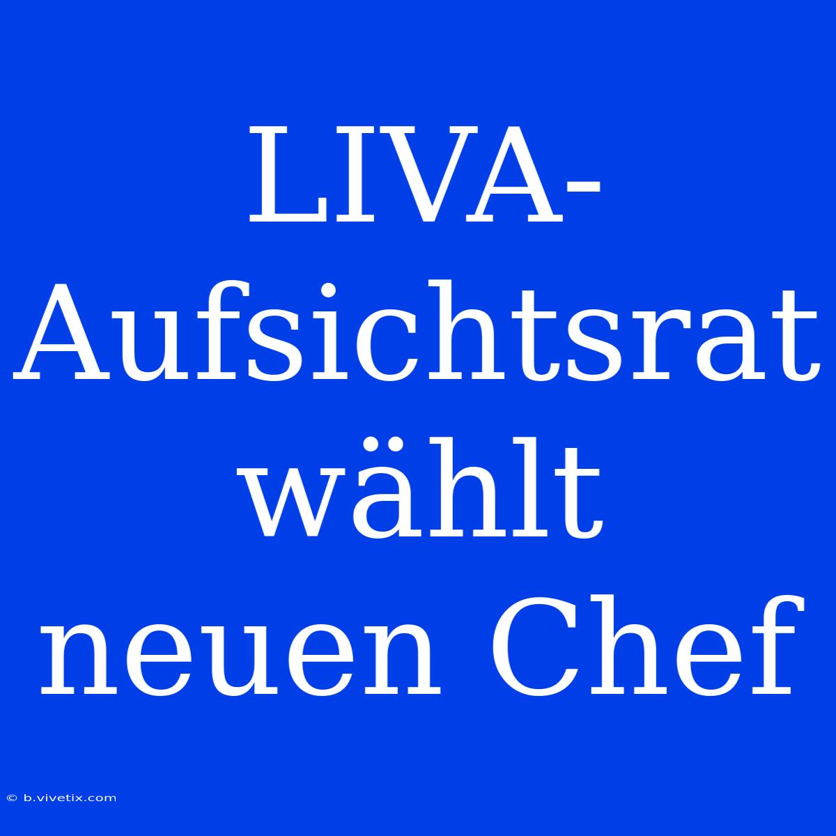 LIVA-Aufsichtsrat Wählt Neuen Chef